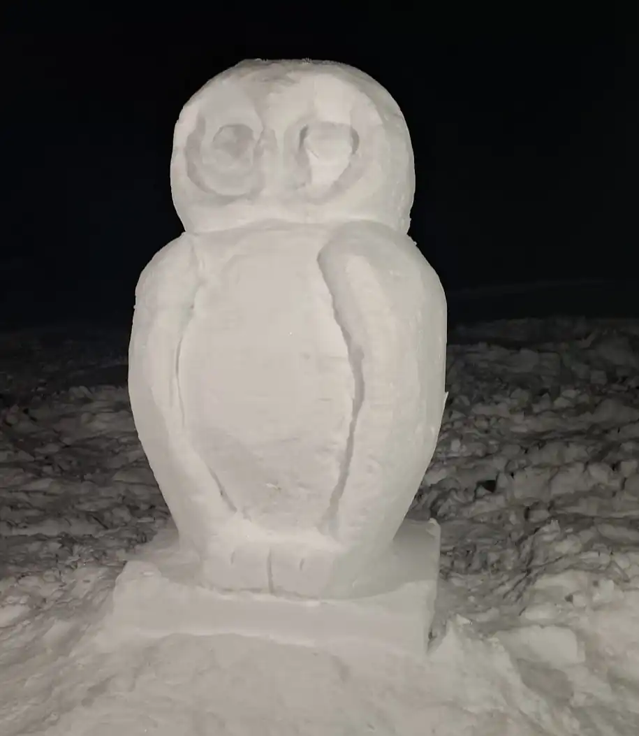 Lapland private tours