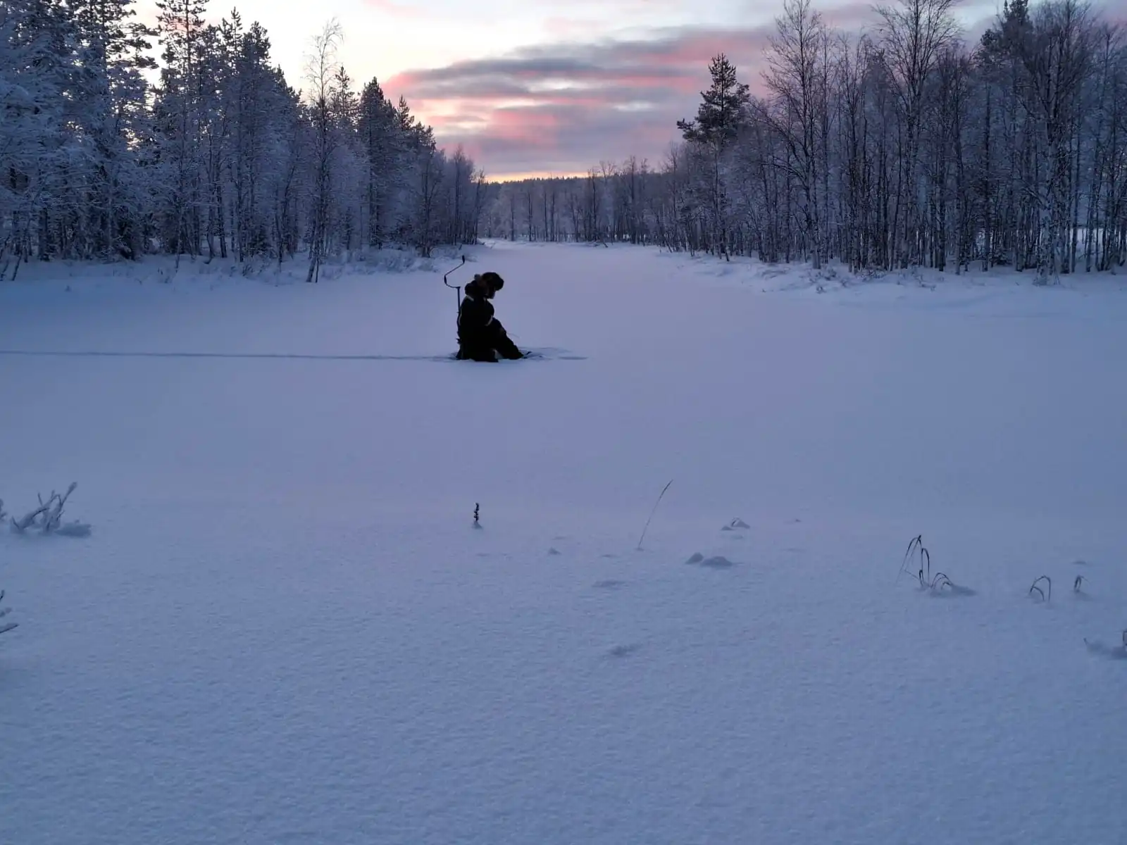 Lapland private tours