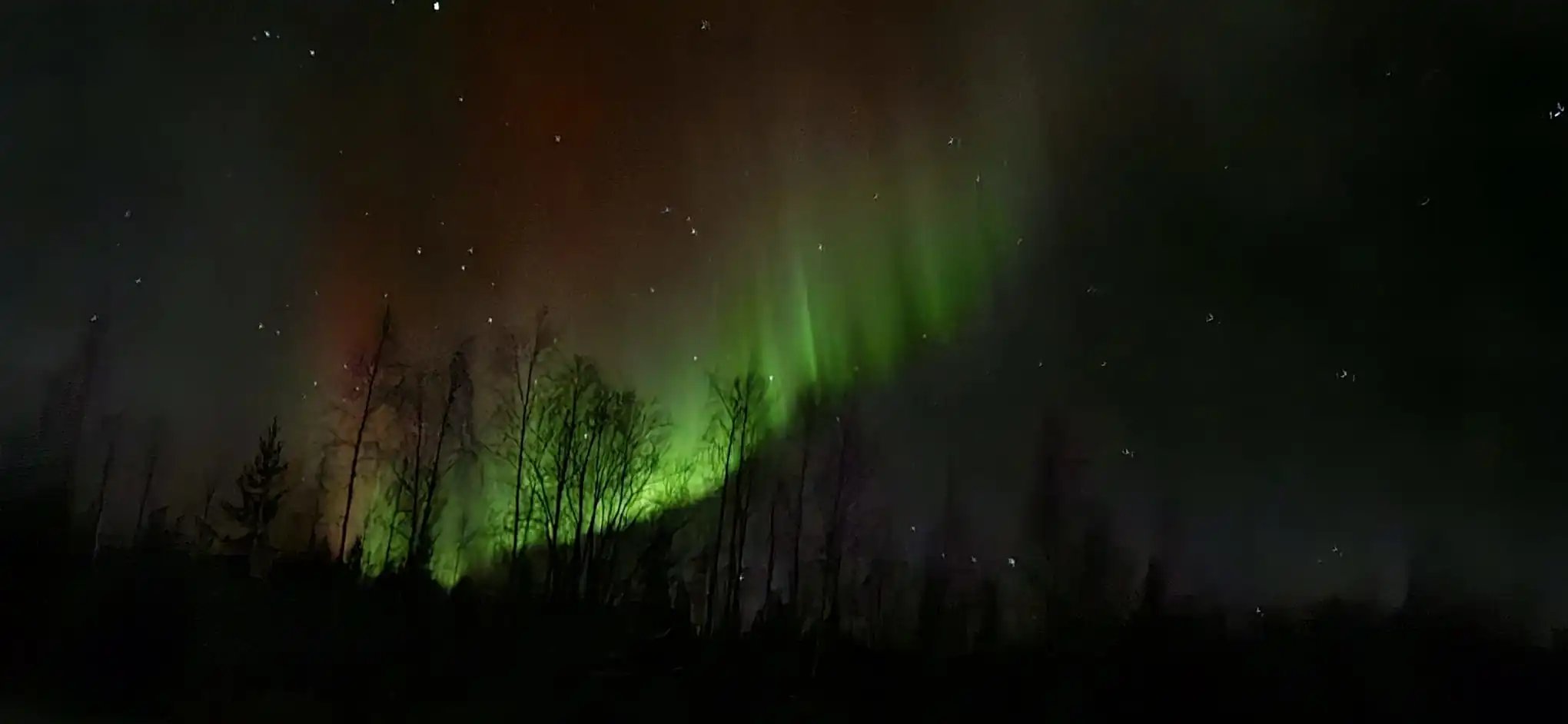 Lapland private tours